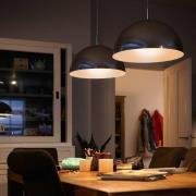 Philips Classic LED lamp E14 P45 6,5W 2.700K mat