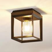 Arcchio Cayla plafondlamp, kooi, zwart