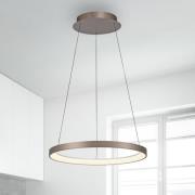Paul Neuhaus LED hanglamp Hoop, bruin, Ø 57 cm, dimbaar