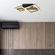 LED plafondlamp Dustin, 2-lamps