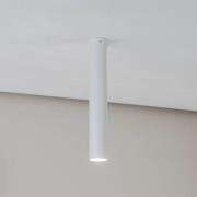 Euluna Thalassa Downlight 1-lamp wit hoogte 40 cm