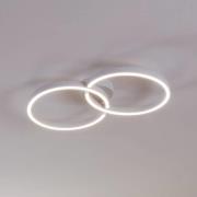 Armandolo LED plafondlamp, wit, lengte 67 cm, CCT, RGB