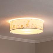 Kinderkamer plafondlamp Max, Ø 50 cm