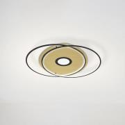 Paul Neuhaus Q-AMIRA LED plafondlamp ovaal, zwart