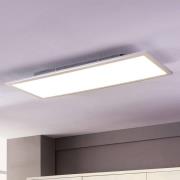 Lindby LED paneel Livel, set van 2, 4.000 K, 80 x 30 cm, zilver
