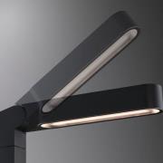 Paulmann Plug & Shine LED tuinpadverlichting, verticaal, IP65