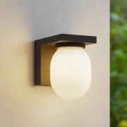 Lucande buitenwandlamp Ovaali, glas, donkergrijs, IP65