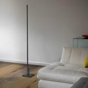 Quitani Talon LED vloerlamp mat geëloxeerd zwart