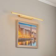 Quitani Talon LED schilderij verlichting messing geanodiseerd