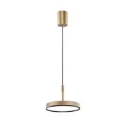 LED hanglamp Don, goudkleurig, Ø 20 cm, metaal