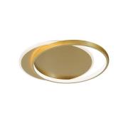 LED plafondlamp Evelyn, goudkleurig, lengte 55 cm, metaal