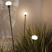 Karman LED tuinpadverlichting MINUIT, hoogte 210 cm, zwart, IP65