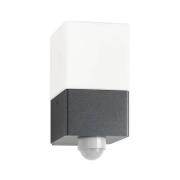 Buitenwandlamp Linus, grafiet, sensor, roestvrij staal, glas, E27