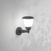 Buitenwandlamp Thiago, donkergrijs, metaal, 20 cm, E27, IP54