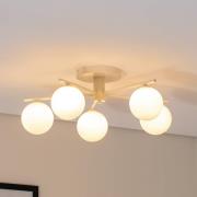 Prato plafondlamp, crème, glas, 5-lamps