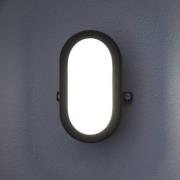 OSRAM LED buiten wandlamp BULKHEAD, zwart 11 W kunststof IP54