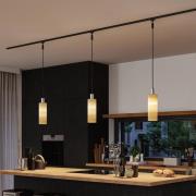 Paulmann URail-lampenkap Vitus 2Easy, hout, Ø 11 cm