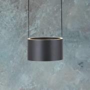 PURE LED hanglamp Clipse, grijs, Ø 20 cm CCT dimbaar 2-lamps