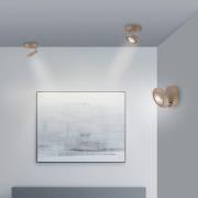 PURE LED plafondlamp Oculis bronskleurig, Ø 15 cm ijzer/glas