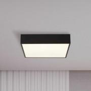 LED badkamer plafondlamp Zeus, zwart, lengte 30 cm, metaal