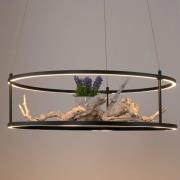 Paul Neuhaus LED hanglamp Contura, zwart, Ø 50 cm