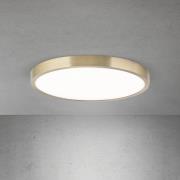 LED plafondlamp Disc, antiek messingkleurig, Ø 28 cm, CCT