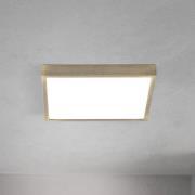 LED plafondlamp Disc, antiek messingkleurig, lengte 24 cm, CCT