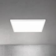 LED plafondlamp Disc, wit, lengte 60 cm, CCT, metaal