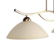 Hanglamp Anthea, 2-lamps, brons, metaal, glas, E27