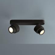 LED-spot BRUSH, zwart, 30 cm, 2-lamps, metaal, dimbaar, 2.700 K