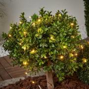 Dew Drop - lichtketting 250 cm lang