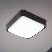 EGLO Connect Piove-C LED buiten wandlamp