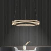 PURE LED hanglamp E-Loop brons, Ø 70 cm, aluminium, CCT