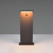 LED sokkellamp Ravi, antraciet, hoogte 50 cm, sensor, IP54