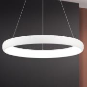 LED hanglamp Venus in ringvorm