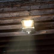OSRAM buitenspot ENDURA FLOOD, grijs, sensor 50 W 840 IP44