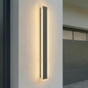 Lucande LED buiten wandlamp Ilora, zwart, 100 cm, CCT, IP65