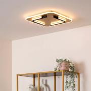 Lucide Andreas - plafondlamp - 40,5 x 40,5 x 5,1 cm - 30W LED incl. - ...